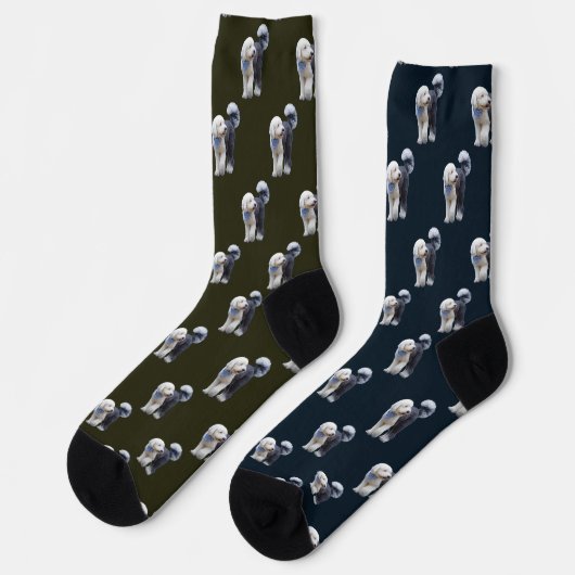 Sheepadoodle Met Blauwe Geruite Sjaal Sokken (Links)