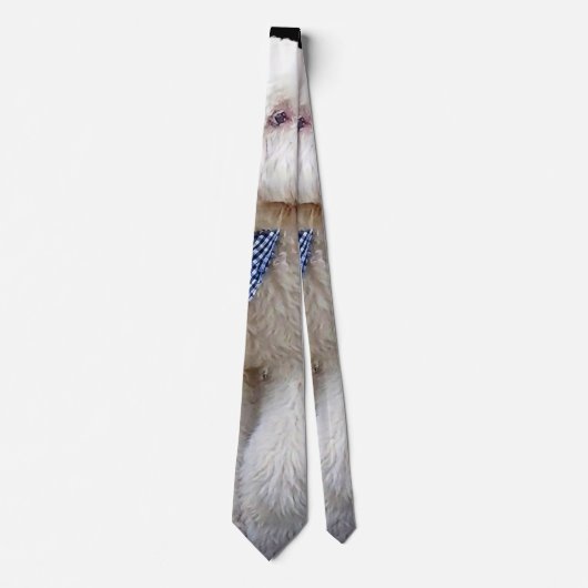 Sheepadoodle Met Blauwe Geruite Sjaal Stropdas (Voorkant)