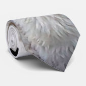 Sheepadoodle Met Blauwe Geruite Sjaal Stropdas (Opgerold)