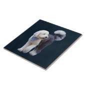Sheepadoodle Met Blauwe Geruite Sjaal Tegeltje (Zijkant)