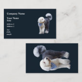Sheepadoodle Met Blauwe Geruite Sjaal Visitekaartje (Voorkant / Achterkant)