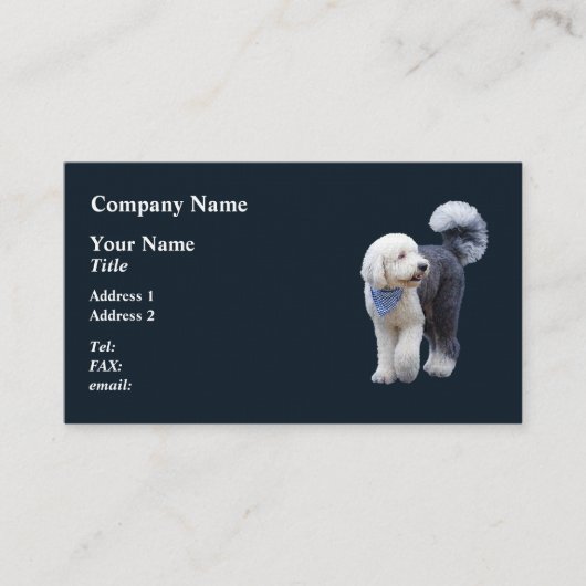 Sheepadoodle Met Blauwe Geruite Sjaal Visitekaartje (Voorkant)