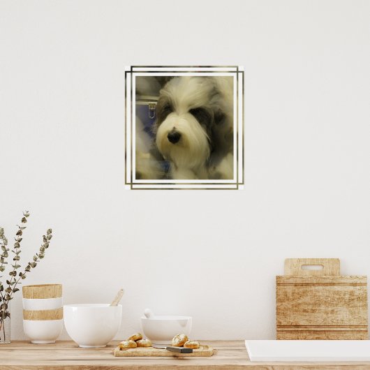Sheepdog Afbeelding Print (Keuken)