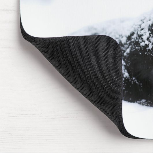 Sheepdog (Akbash/collie-mix) die tijdens Muismat (Hoek)