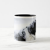 Sheepdog (Akbash/collie-mix) die tijdens Tweekleurige Koffiemok (Center)