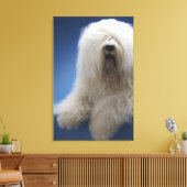 Sheepdog Canvas Afdruk (Insitu (Woonkamer))