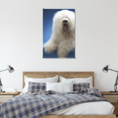 Sheepdog Canvas Afdruk (Insitu (Slaapkamer))