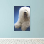 Sheepdog Canvas Afdruk (Insitu (Houten vloer))