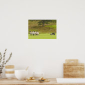 Sheepdog Herding Sheep Poster (Keuken)