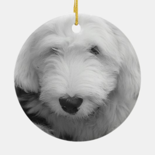 Sheepdog Puppy Ornament (Achterkant)