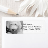 Sheepdog retouradres Mailing Label (Insitu)