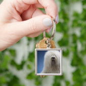 Sheepdog Sleutelhanger (Hand)
