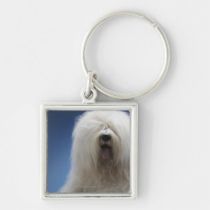 Sheepdog Sleutelhanger