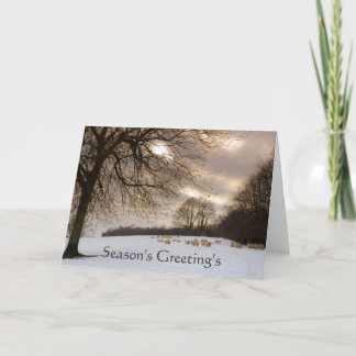 Sheeps Feestdagen Kaart