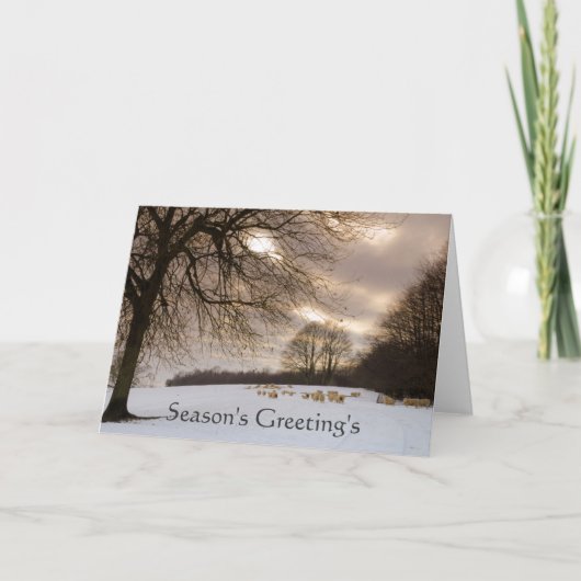 Sheeps Feestdagen Kaart (Voorkant)