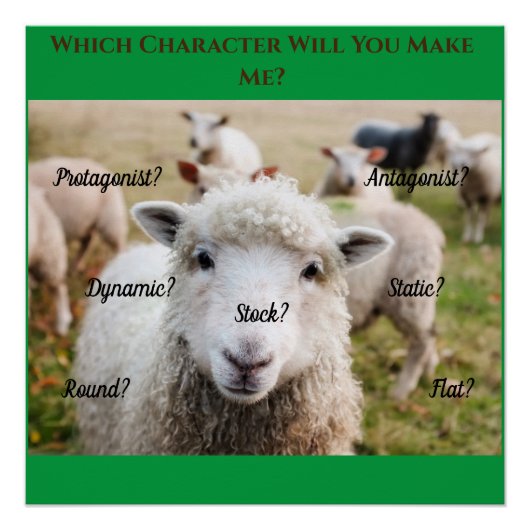 Sheep's Question Poster (Voorkant)