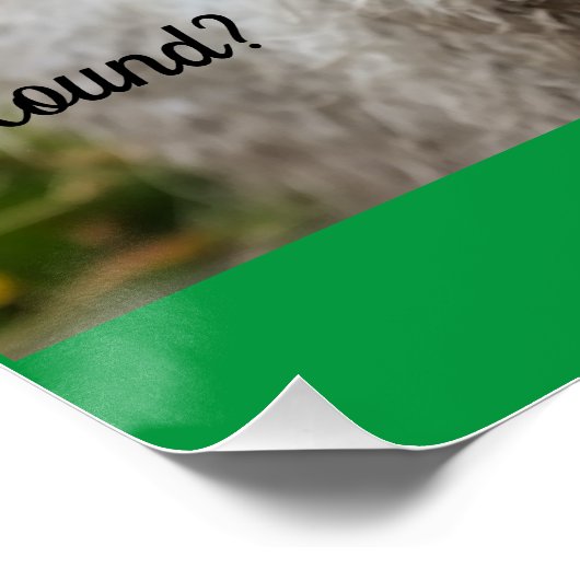 Sheep's Question Poster (Hoek)