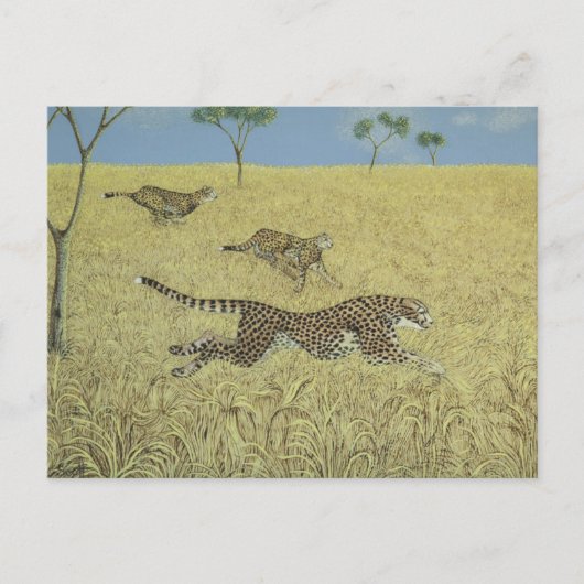 Sheer Speed Briefkaart (Voorkant)