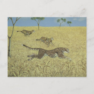Sheer Speed Briefkaart