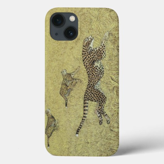 Sheer Speed Case-Mate iPhone Case (Achterkant)
