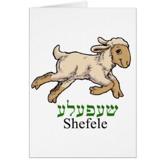 "Shefeleh"-lammeren