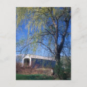Sheffield Upper Covered Bridge Berkshires MA Briefkaart (Voorkant)