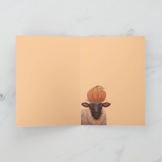 Sheila-kaart Kaart (Binnen)