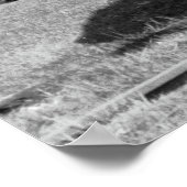 Shelburne Herfsten & Colrain Street Railway car #2 Poster (Hoek)