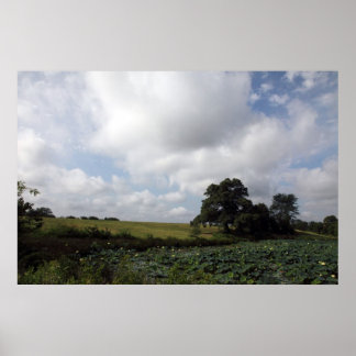 Shelby Boerderijen Poster