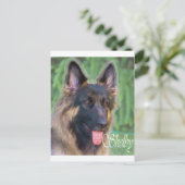 Shelby Briefkaart (Staand voorkant)