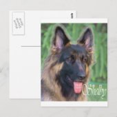 Shelby Briefkaart (Voorkant / Achterkant)