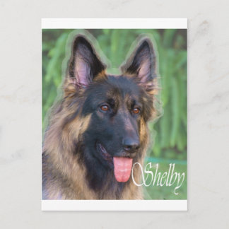 Shelby Briefkaart