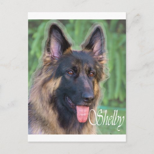 Shelby Briefkaart (Voorkant)
