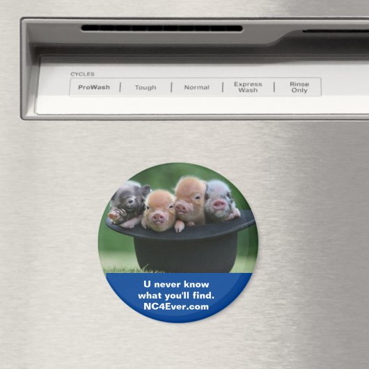 Shelby NC magneet (Insitu (Vaatwasser))