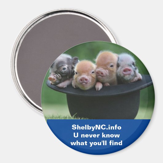 Shelby NC magneet (Voorkant / Achterkant)