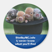 Shelby NC magneet (Voorkant)