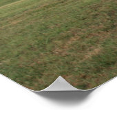 Shelby Poster (Hoek)