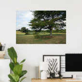 Shelby Poster (Thuiskantoor)