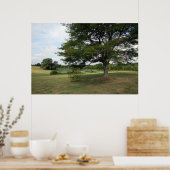 Shelby Poster (Keuken)