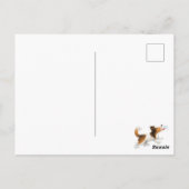 Sheldon de Sheltie Briefkaart (Achterkant)