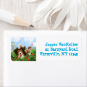 Sheldon de Sheltie Etiket (Insitu)