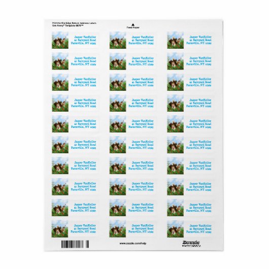 Sheldon de Sheltie Etiket (Full Sheet)