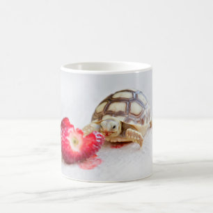 Sheldon the Tortoise Koffiemok
