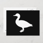 Sheldrake Duck Briefkaart (Voorkant / Achterkant)