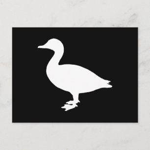 Sheldrake Duck Briefkaart
