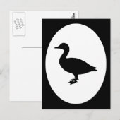 Sheldrake Duck Briefkaart (Voorkant / Achterkant)