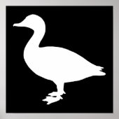 Sheldrake Duck Poster (Voorkant)