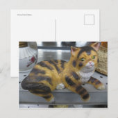 Shelf Cat Briefkaart (Voorkant / Achterkant)