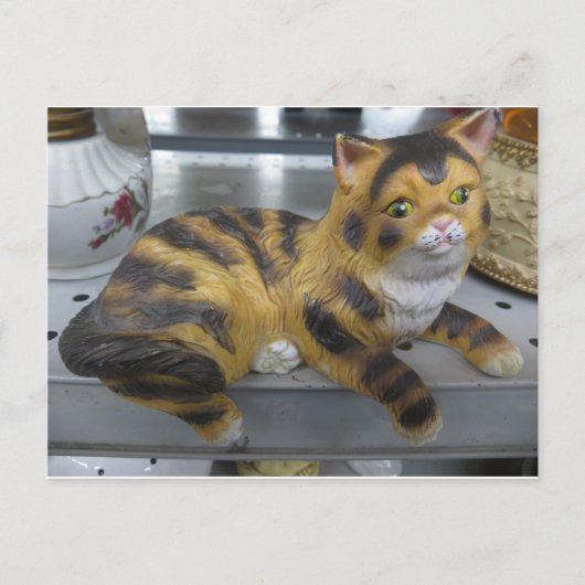 Shelf Cat Briefkaart (Voorkant)