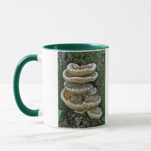 Shelf Fungi op Stump Mok